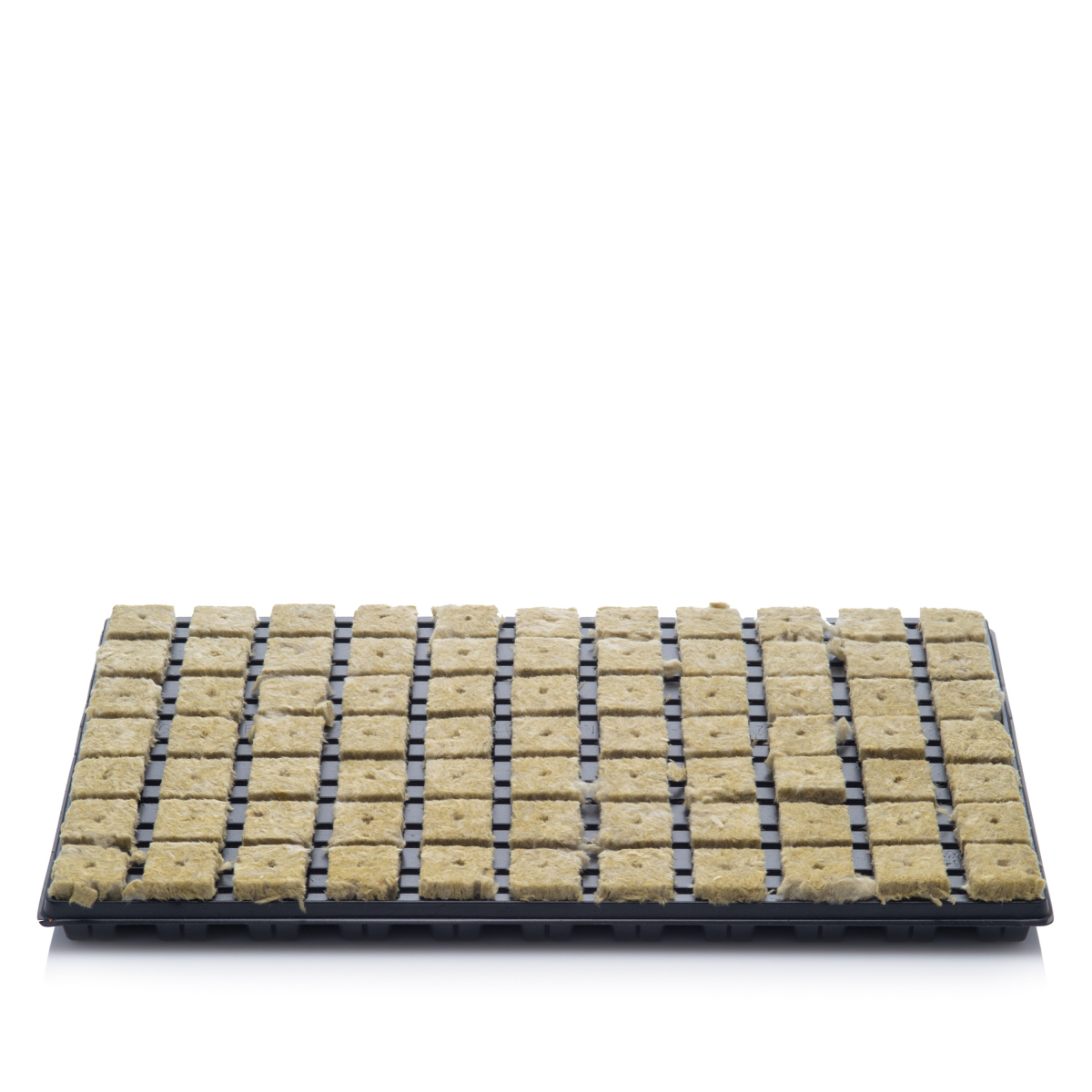 Pflanzensubstrat Grodan Stecktrays 77er Tray