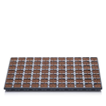 Pflanzensubstrat Easy Plug 77er Tray