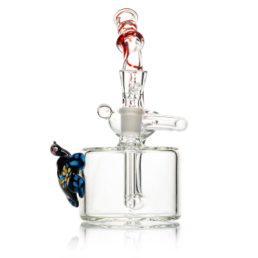 Sunbathing Sea Turtle - Recycler Bong - 14mm F