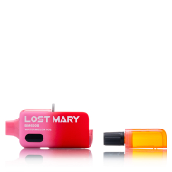 Lost Mary BM6000 Watermelon ICE