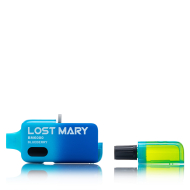 Lost Mary BM6000 Blueberry