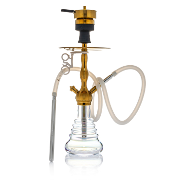 Amy Deluxe - Small Rips 470R - Transparent / Gold