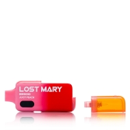 Lost Mary - BM6000 Juicy Peach