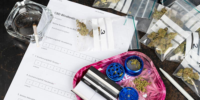 Tisch mit Materialien für ein CBD-Blindtesting: Bewertungsbogen, Beutel mit nummerierten Cannabisblüten, Aschenbecher mit Joint, pinkes Rolltablett mit Grinder und Papers.
