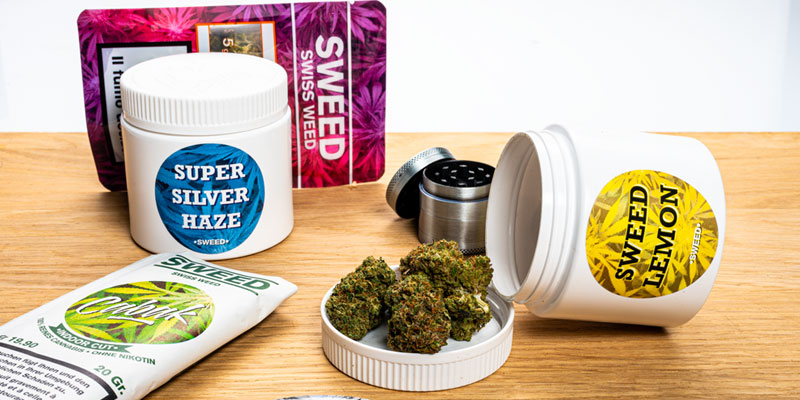 Häufig gestellte Fragen zu Sweed: Symbolbild mit Blüten auf einem Grinder, einer Dose Super Silver Haze und einer Packung Sweed-Blüten im Hintergrund