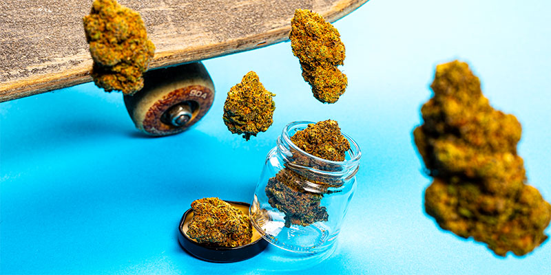 Häufig gestellte Fragen zu Sweed: Symbolbild mit Blüten auf einem Grinder, einer Dose Super Silver Haze und einer Packung Sweed-Blüten im Hintergrund